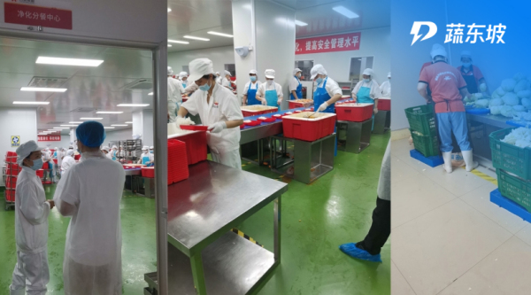 产能10万份，这家企业通过【智能化 标准化 信息化】成为湖南首家新型集约化供餐模式的团膳品牌