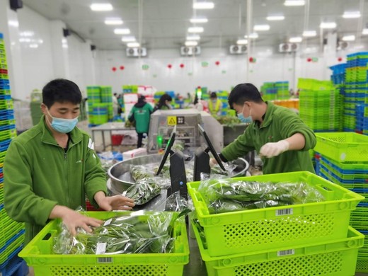 校园食材采购系统如何选？