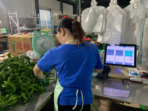 蔬东坡软件多少钱？