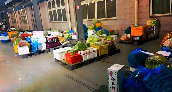 蔬东坡系统多少钱？
