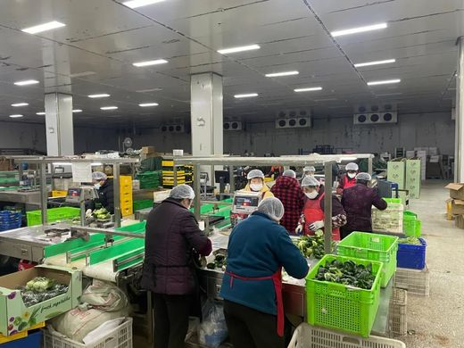 生鲜配送软件多少钱？