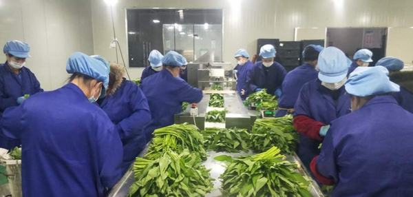 食材配送系统哪家好？食材配送系统怎么选？