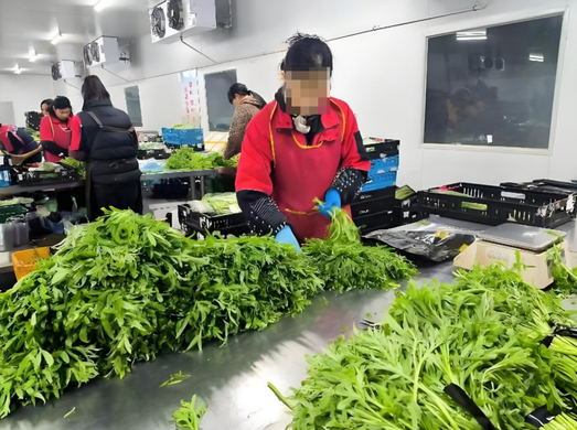 生鲜配送平台有哪些?如何提升履约效率?3 个核心动作降低损耗、缩短配送时效