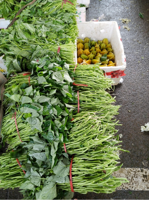 生鲜配送平台软件哪个靠谱?