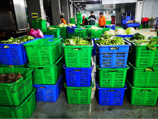 蔬东坡生鲜配送系统推动生鲜配送行业效率提升