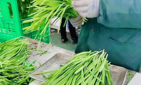 2025生鲜配送系统哪家强:蔬东坡98%长期客户续约率定义服务新标准