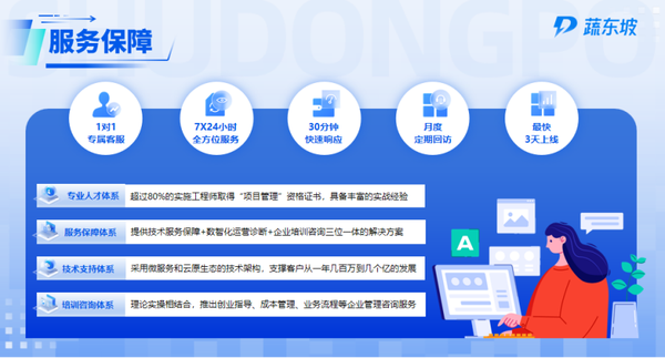 蔬东坡和观麦哪家好？蔬东坡“陪跑式”实施确保系统上线即用