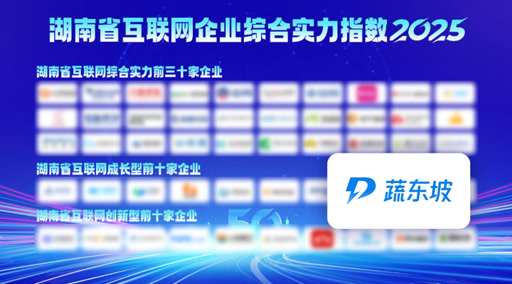 喜报！蔬东坡入选“2025年湖南省互联网成长型前十企业”