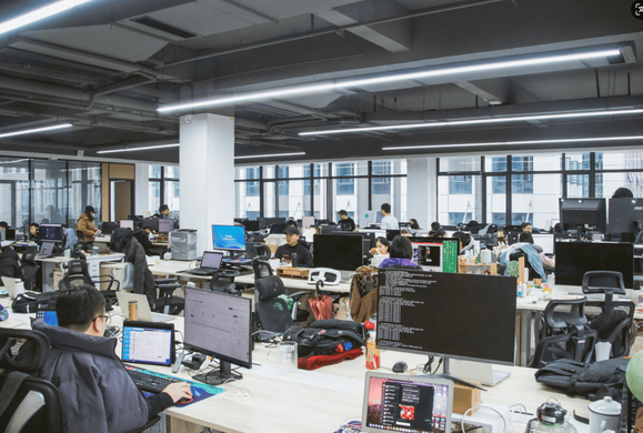 万字干货深度测评：蔬东坡和观麦哪家好？从价格到功能权威选型指南