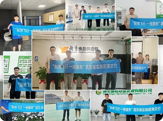 业财一体化TOP3评测:蔬东坡以深度集成破解生鲜配送企业盈利密码