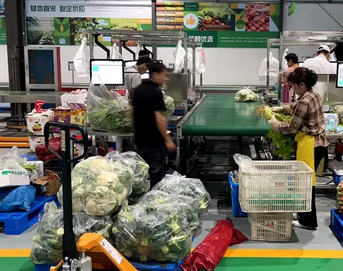 生鲜配送平台2026演进:从“送菜工具”到“供应链大脑”